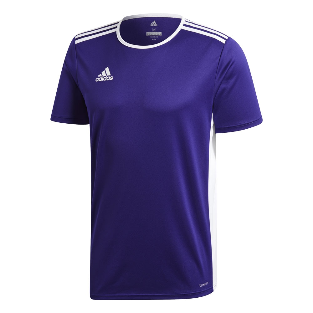 adidas entrada 18 jersey pink