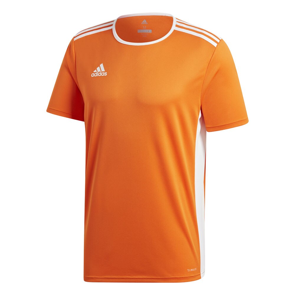 adidas entrada 18 jersey youth size chart