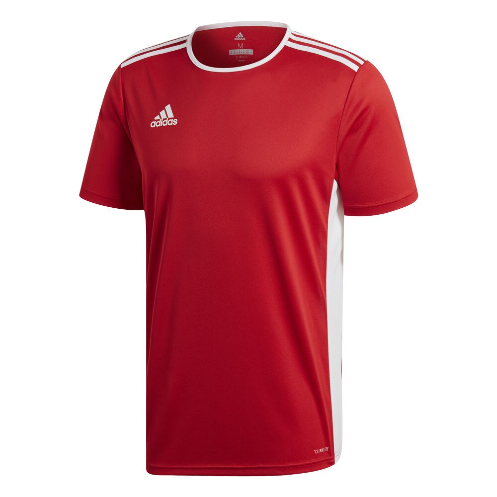 adidas entrada 18 jersey pink