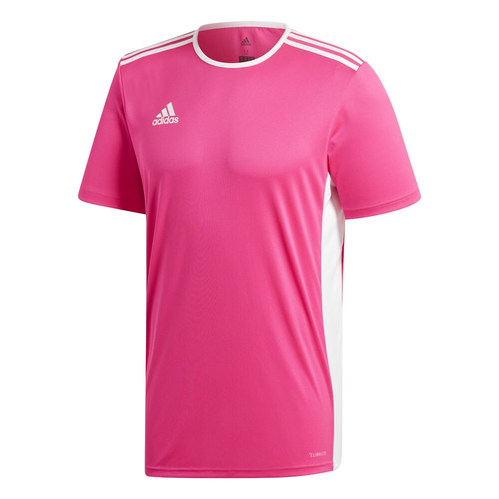 adidas youth entrada 18 jersey