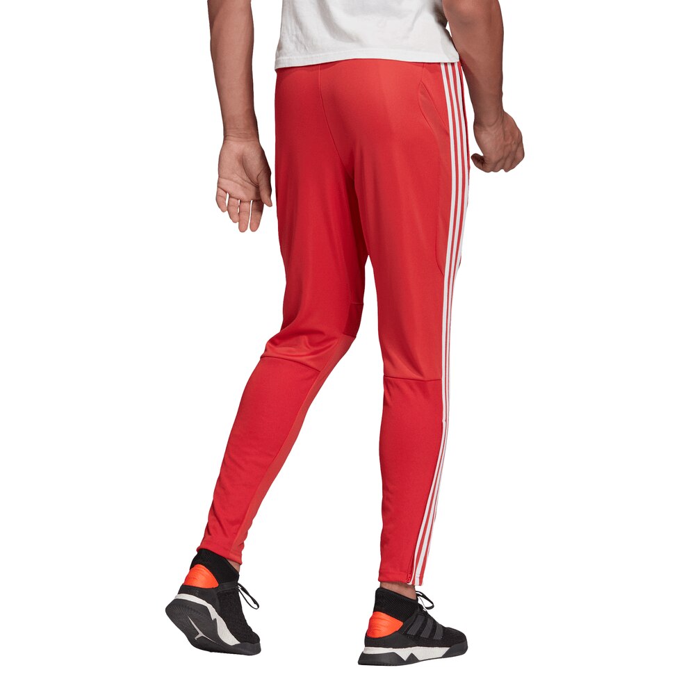 tiro 19 training pants red