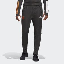 adidas Manchester United Training Pants - Legend/Earth