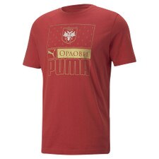 Puma SERBIA Core Tee