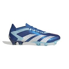 Adidas Predator Accuracy.1 Low FG