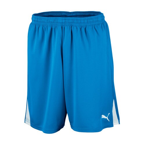Puma Team Shorts w/o inner-slip