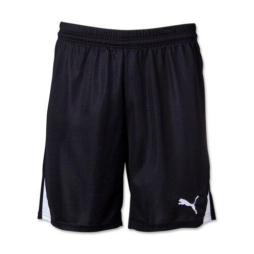 Puma Team Shorts w/o inner-slip