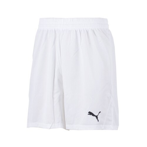 Puma Team Shorts w/o inner-slip