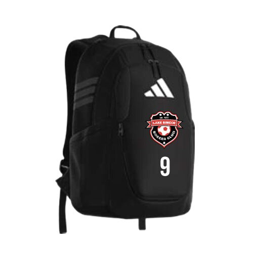 バッグ・ポーチ SPACE WORLD THE FINAL Lake Simcoe adidas Stadium 4 Backpack |SOCCERX