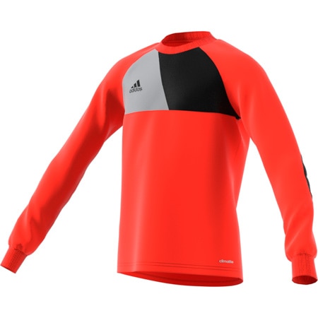 adidas assita goalkeeper jersey